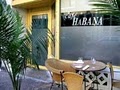 Café Habana image 3