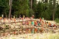 Camp Wawona image 3