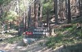 Camp Wawona image 5