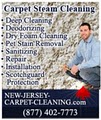 Carpet Cleaning | Edison, NJ image 4