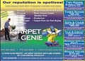 Carpet Genie logo