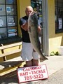 Causeway Bait and Tackle Shop image 2