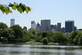 Central Park image 4