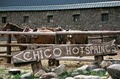 Chico Hot Springs Resort & Day Spa logo