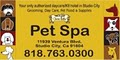 Chow Bella Pet Spa image 4