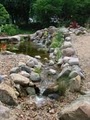 Chris' Water Gardens & Lawn Service image 2