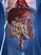 Colon Therapy of Las Vegas - Colon Detox, Medical Center image 3