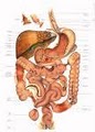 Colon Therapy of Las Vegas - Colon Detox, Medical Center image 7