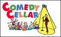 Comedy Cellar image 4