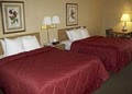 Comfort Inn Hornell image 7