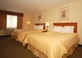 Comfort Inn & Suites Near Long Beach Convention Center image 4