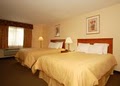 Comfort Inn & Suites Near Long Beach Convention Center image 8