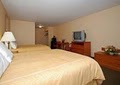 Comfort Inn & Suites Near Long Beach Convention Center image 10