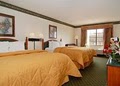 Comfort Inn image 2