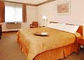 Comfort Inn image 7