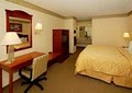 Comfort Inn image 8