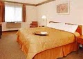 Comfort Inn image 8