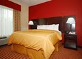 Comfort Suites Bay City image 2