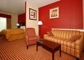 Comfort Suites Bay City image 3