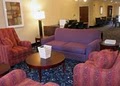 Comfort Suites image 2