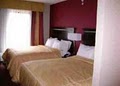 Comfort Suites image 10