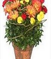 Country Bouquet Florist image 1