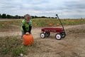 Curtis Orchard & Pumpkin Patch, Ltd. image 9