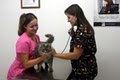 Cypress Square Animal Clinic image 7