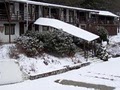 Dalem's Chalet Inc image 10