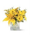 Dallas Florist & Gifts image 2