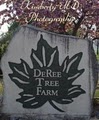 DeRee Tree Farm image 4