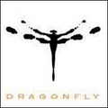 Dragonfly Salon logo
