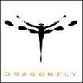 Dragonfly Salon image 1