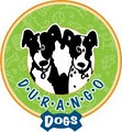 Durango Dogs image 3