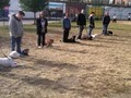 Dynamic Dogs Training & Behavior, Inc. image 9