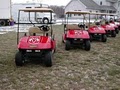 "Dyno Dave" Golf Carts of Toledo image 9