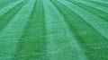 ECO-MOW SYSTEM image 4