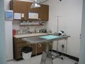 East Norriton Animal Hospital image 3