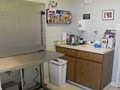 East Norriton Animal Hospital image 8