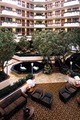 Embassy Suites Hotel Dallas - Near The Galleria image 2