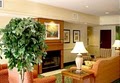 Fairfield Inn Ocala image 6