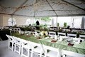 Finch and Thistle Event Design image 3