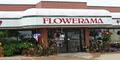 Flowerama image 3