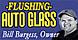 Flushing Auto Glass logo