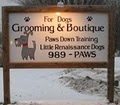 For Dogs Grooming and Boutique image 4