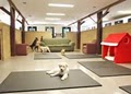 For Paws Unleashed - Kennel, Dog Groomer, Pet Care image 2