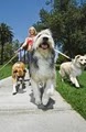 For Paws Unleashed - Kennel, Dog Groomer, Pet Care image 1