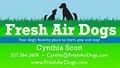 Fresh Air Dogs image 6