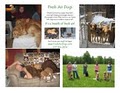 Fresh Air Dogs logo