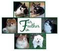 Fur Feather Fin Pet Care, LLC logo